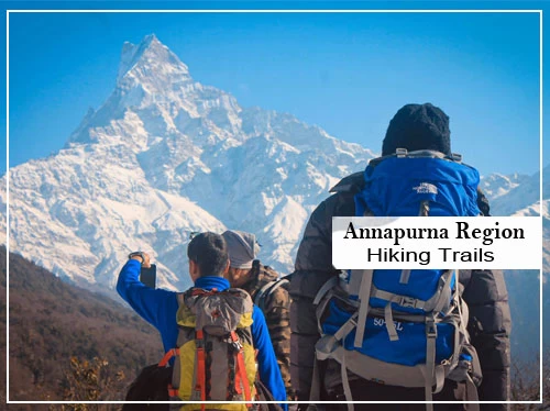 annapurna region trekking