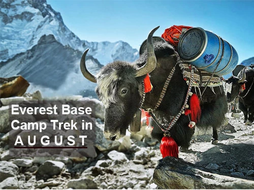 everest base camp in august