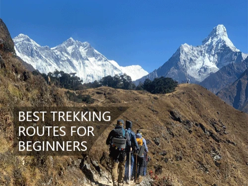 Everest View Trail