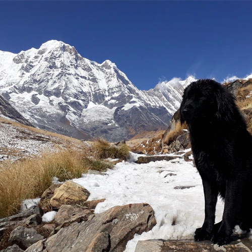 Annapurna Region Trek