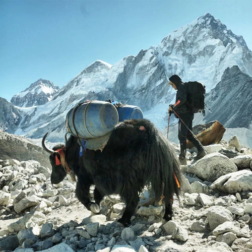 Everest Region Trek