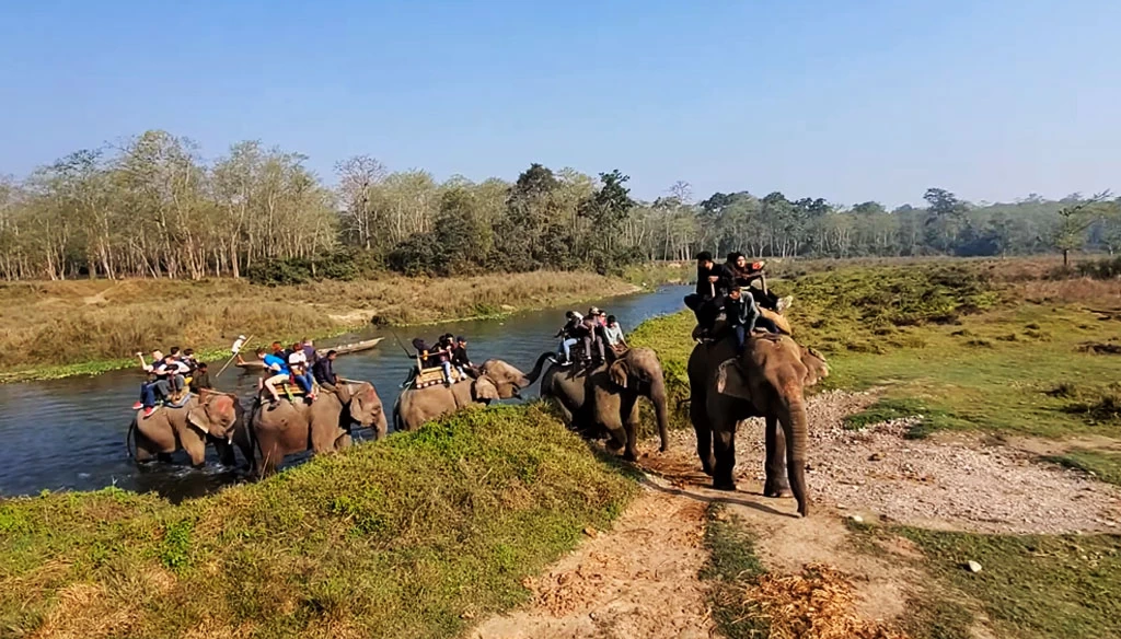crossing rapti river on elephant during our elephant safari in chitwan