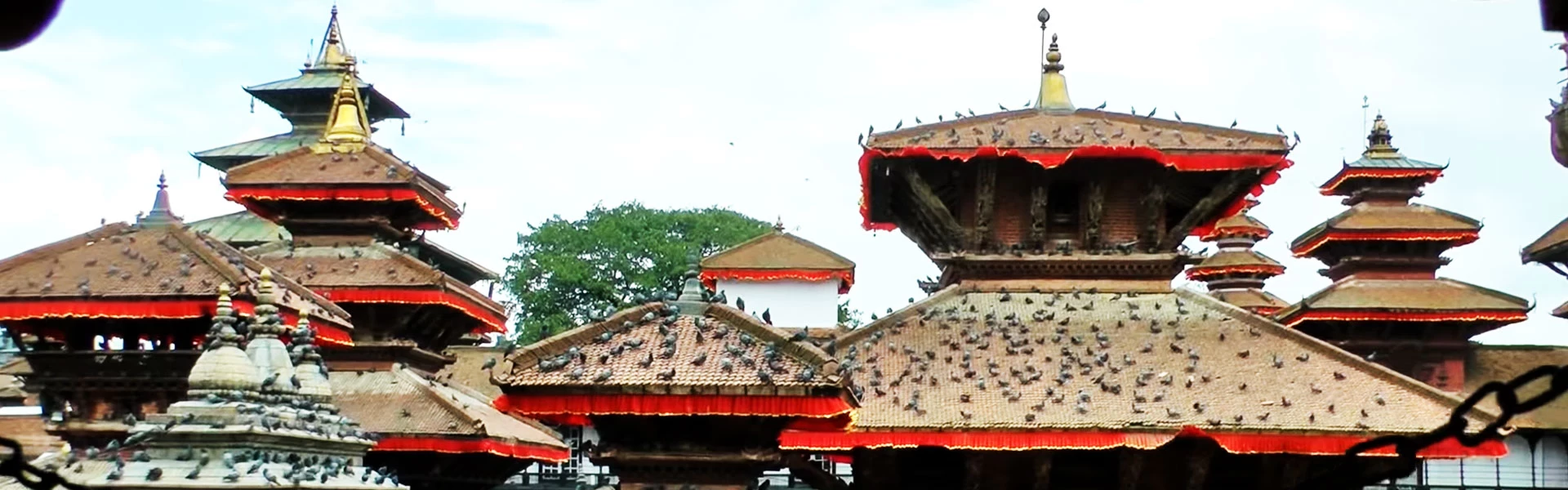 Big flock of pigeons are sitting on the temples of the Kathmandu durbar square.