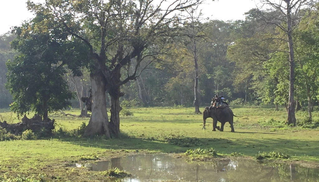 chitwan safari