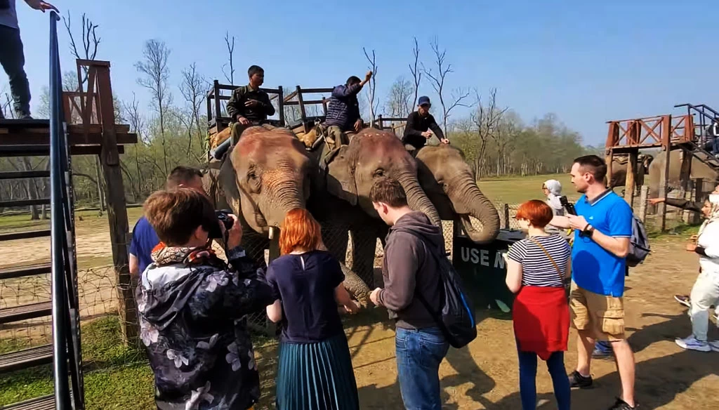 approching to elephant station for elephant safari in chitwan