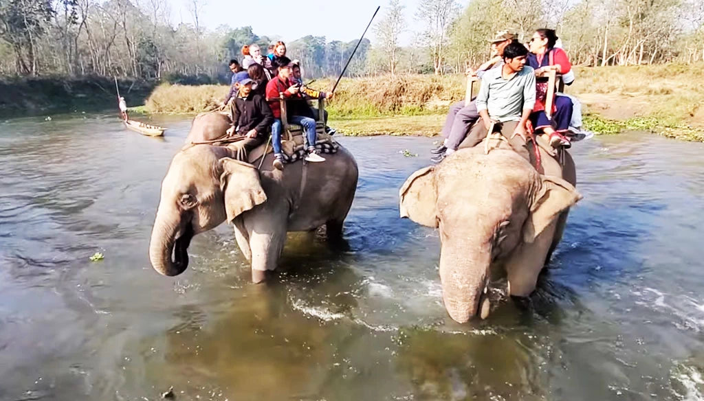 crossing budhi rapti river on elephant during our safari tour