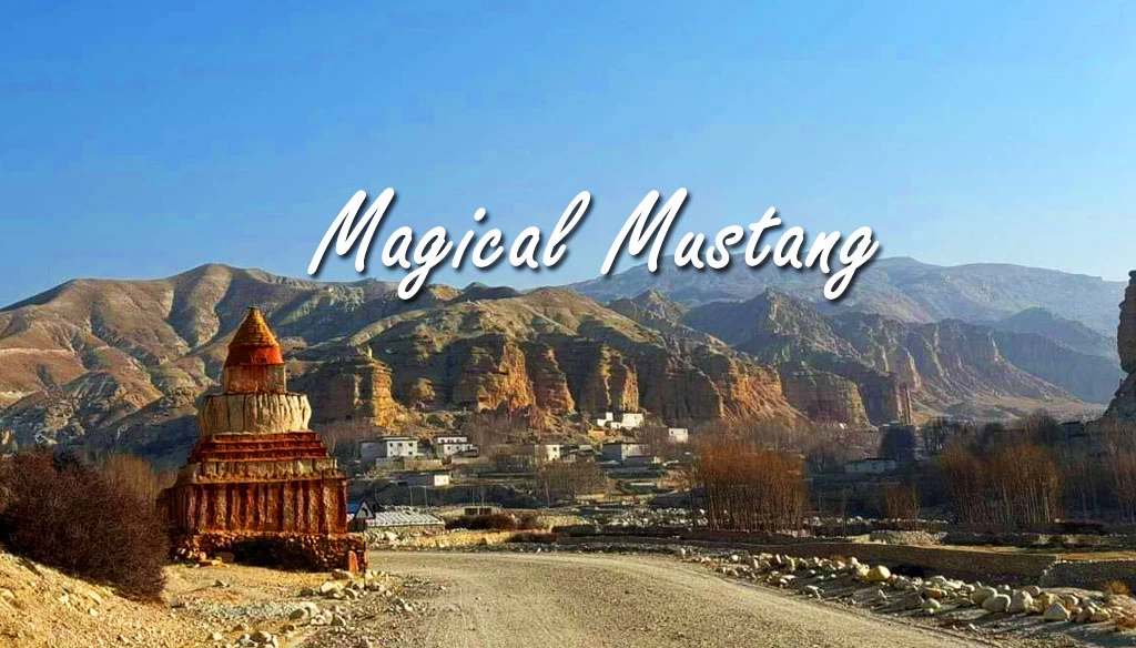 mustang trip