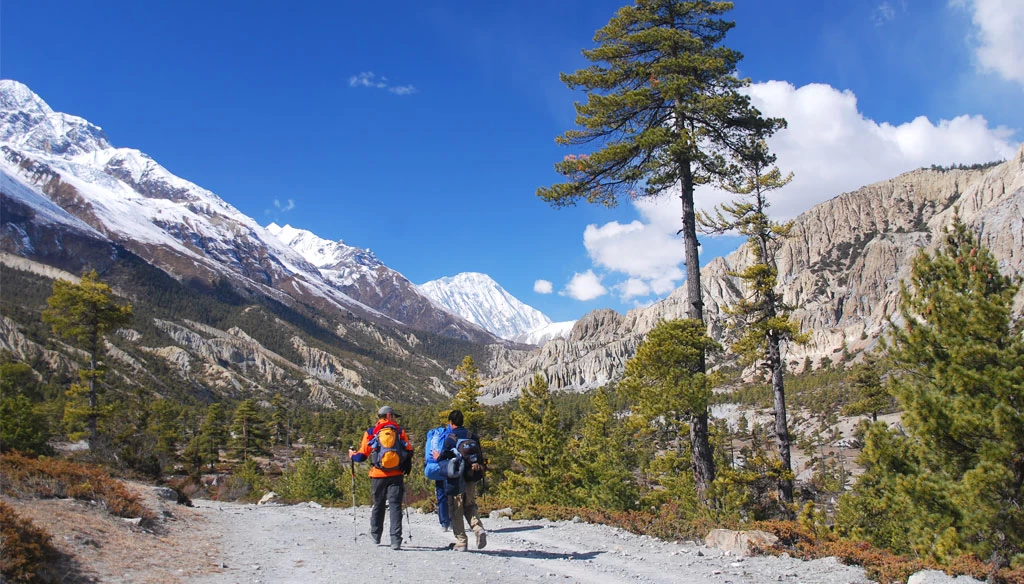 8 Days Annapurna Circuit Trek