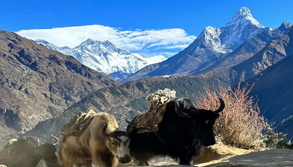 mount amadablam