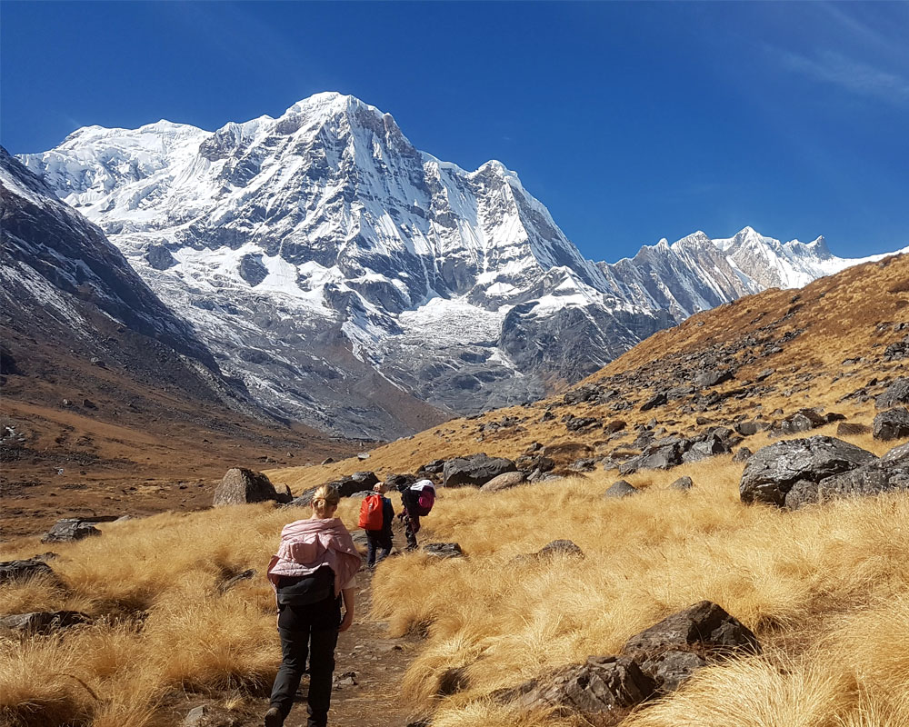 Annapurna Base Camp Trek Permit 