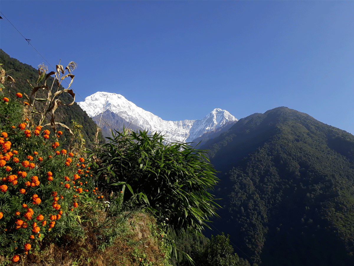 Gurung Heritage Trail