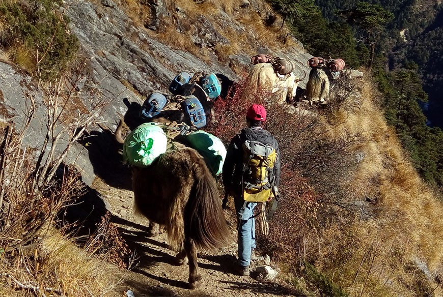 base camp everest trek distance