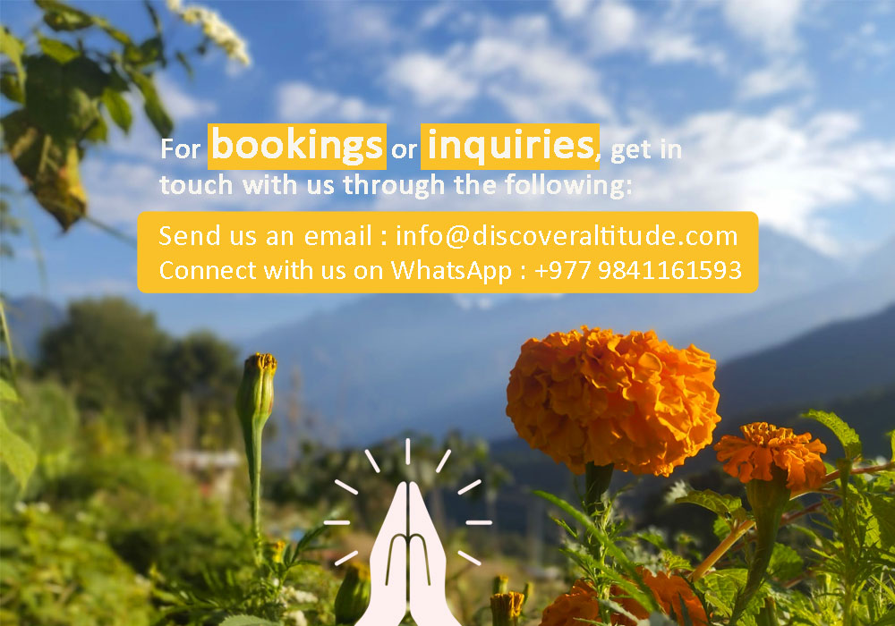 booking and inquiries