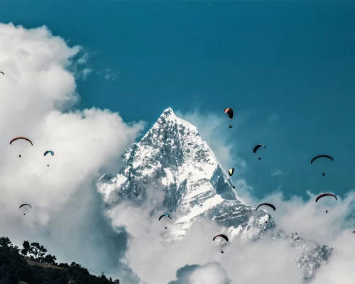  View From Trek