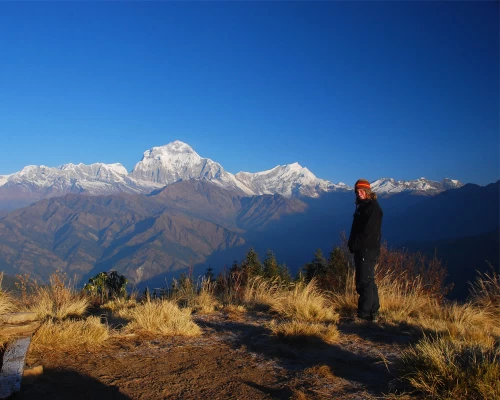  Poonhill View