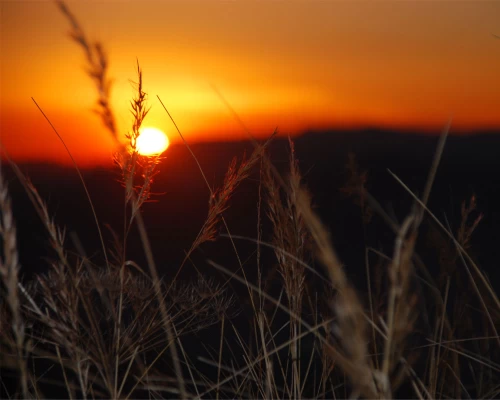  Sunrise