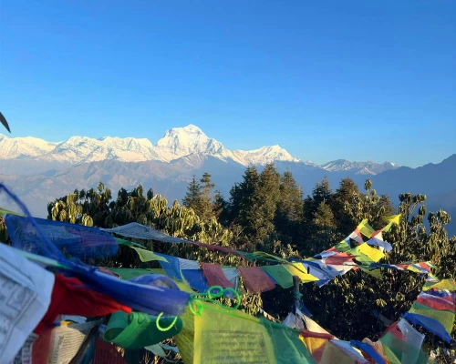  Poonhill View