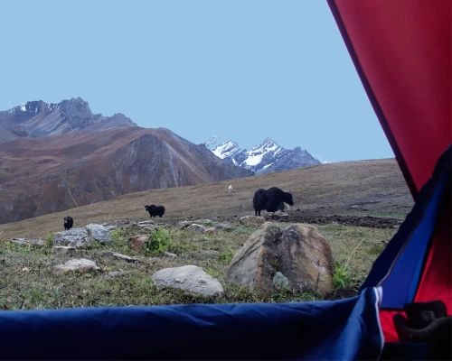 Beautiful Scenery Seen From Tent
