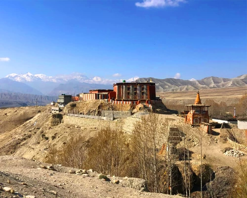 Charang, Mustang