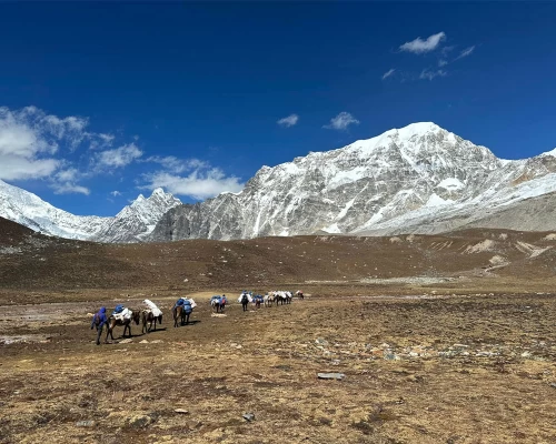 En Route To Yala Peak