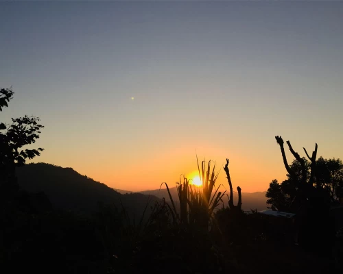 gold sunset