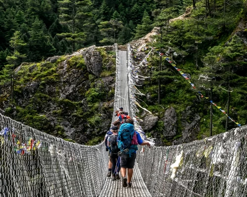 Hillary Sunspension Bridge
