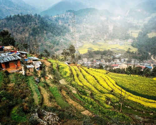 kathmandu village