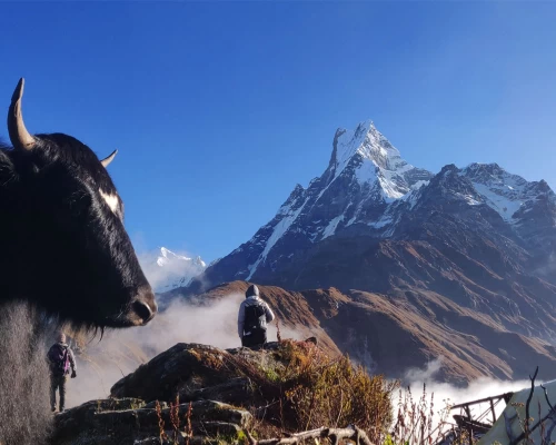 Mt Fishtail