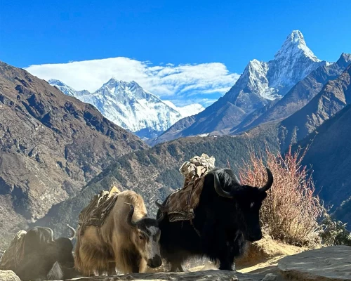 On The Way To Amadablam Base Camp