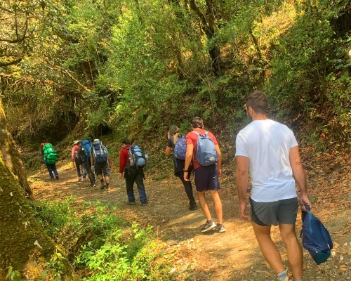 On The Way To Tadapani