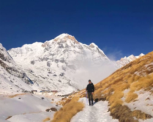 Photograph With Annapurna South