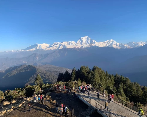 Poonhill With Mount Dhaulagiri Backdrop