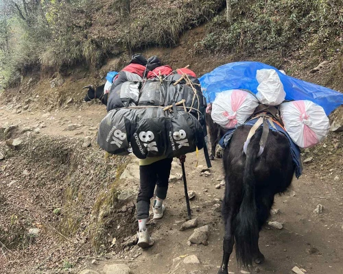 Porter Life In Everest
