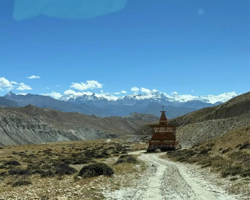 Road To Mustang