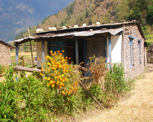 Traditional House In Village