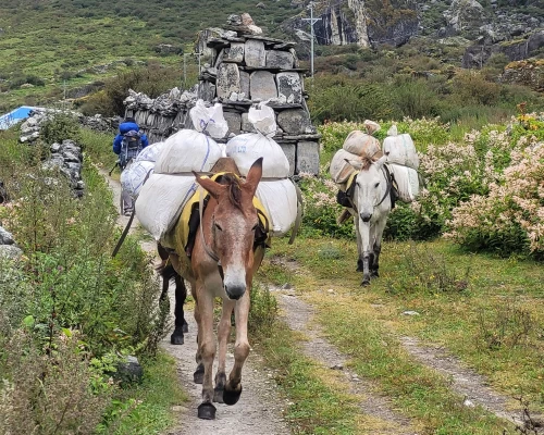 Transportation In Langtang