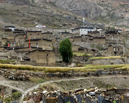 Village In Dolpo