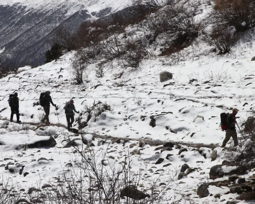 Walk On Snow