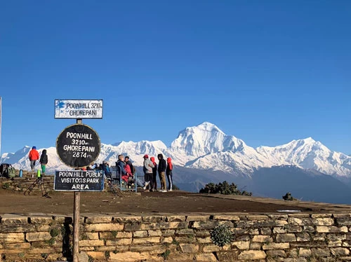beautiful poonhill