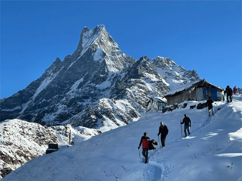 Mardi Himal Trek Nepal