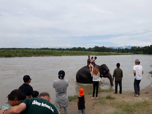 taking part in elephant bath in chitwan sauraha