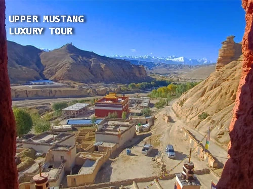 luxury mustang tour